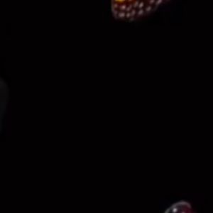 Meet your Posher, Hamanie